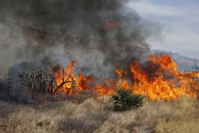 Foto: Tomada de Facebook