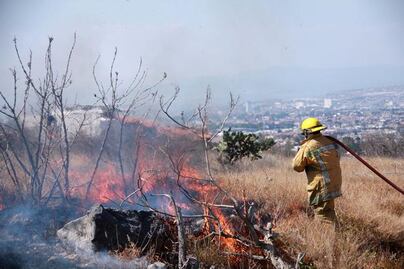Registran en Corregidora 73 incendios en pastizales 