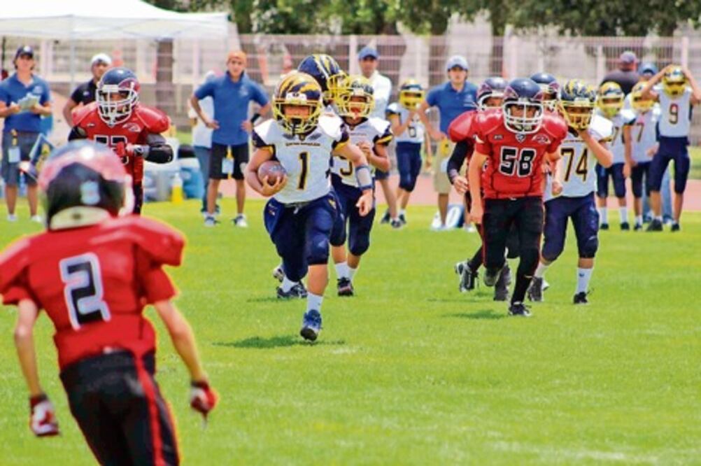 Serie para los Gatos Salvajes de la UAQ