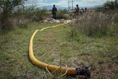Desastre en sembradío de maíz por robo de diésel