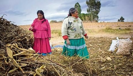 Realizará CDI encuesta entre indígenas