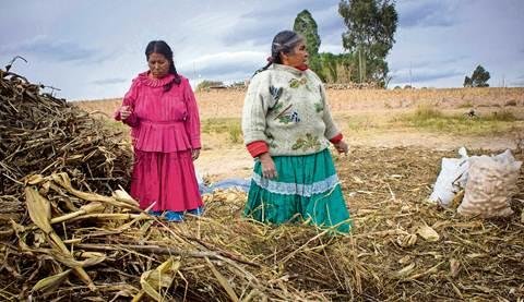 Realizará CDI encuesta entre indígenas