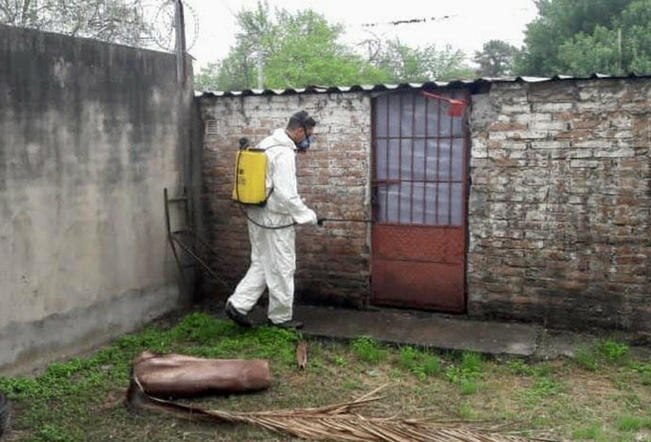 Querétaro, entre los estados con más casos de dengue