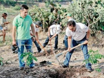 Reforestarán 250 mil árboles