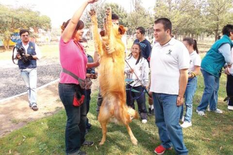 Piden generar conciencia 