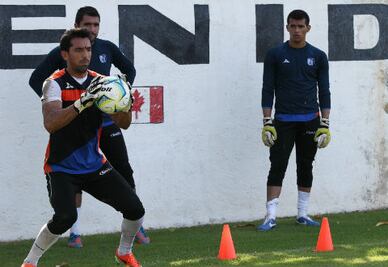 Portería de Gallos, bien resguardada