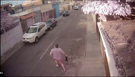 Video. Sin razón, sujeto lanza gatito por los aires en la colonia Satélite