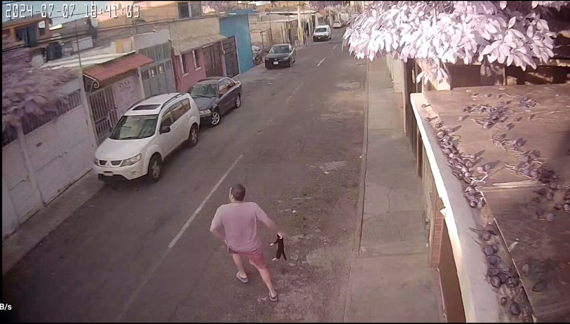 Foto: Captura tomada del Facebook de Ana Manzanares