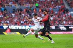 Opinión. Gallos a tratar de seguir a la alza