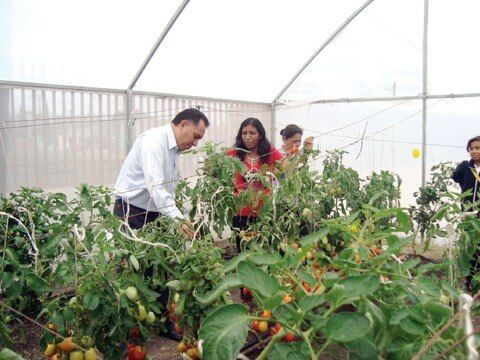 Capital destina para desarrollo de huertos