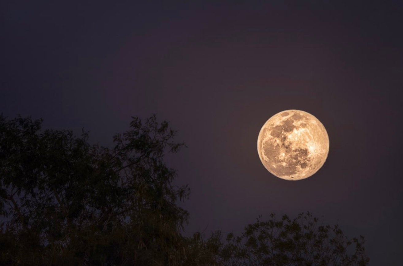 Así se aprecia en Querétaro la "luna llena de gusano" 