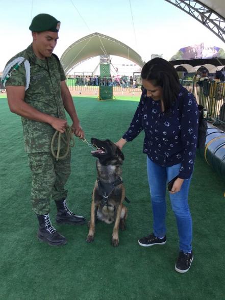 Heroína de cuatro patas y gran olfato se enlista en la Sedena