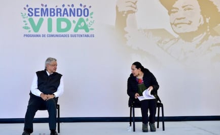 Vamos a recuperar la libertad para seguir siendo fraternos y solidarios: AMLO