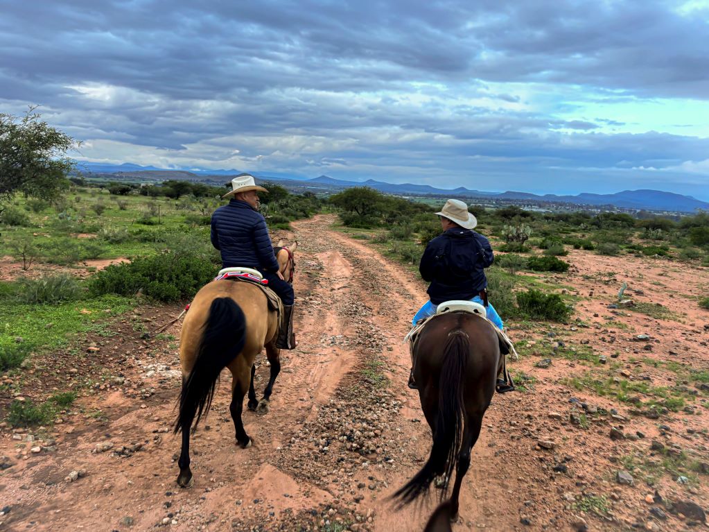 Cabalgando en Tequis, el emprendimiento familiar que ofrece experiencias con equinos
