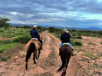 Cabalgando en Tequis, el emprendimiento familiar que ofrece experiencias con equinos