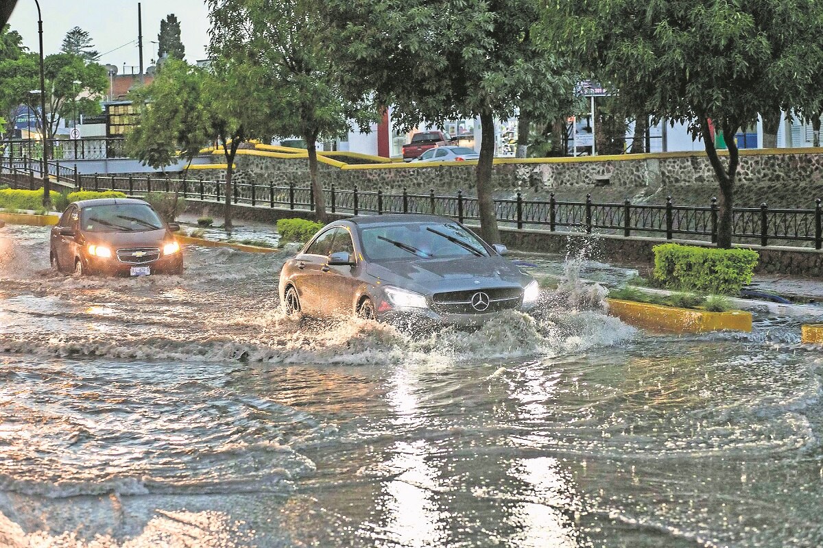 Foto: Demian Chávez