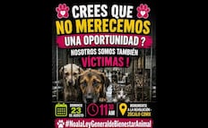 Convocan a marcha nacional en defensa de los animales; la cita es el próximo 23 de agosto en CDMX