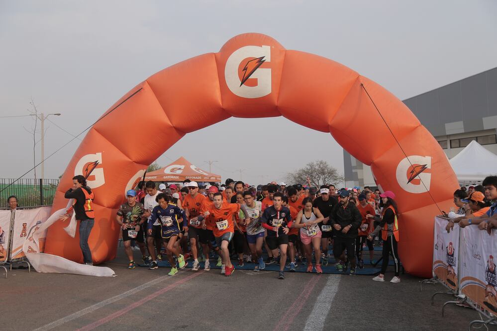 FOTO: Gonzalo Ibañez