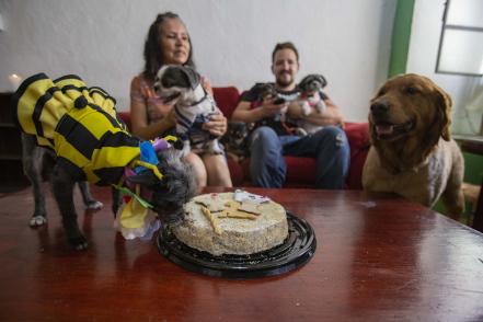 Fiesta canina, momento de agradecer la lealtad 