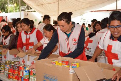 Cruz Roja Mexicana solicita la donación de collarines