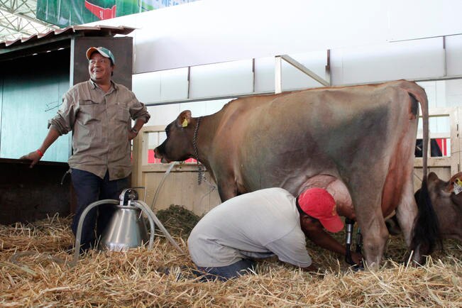 Durante el Tercer Día del Ganadero, se compartieron prácticas de producción pecuaria que han dado resultados (ARCHIVO EL UNIVERSAL)