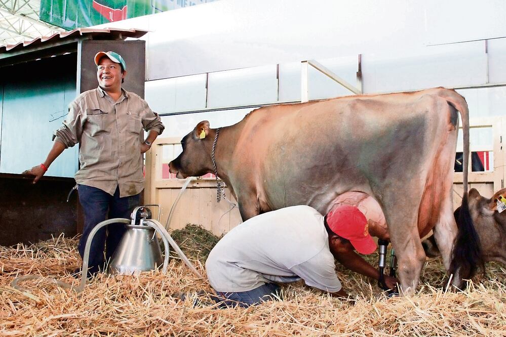 Foto: ARCHIVO. EL UNIVERSAL