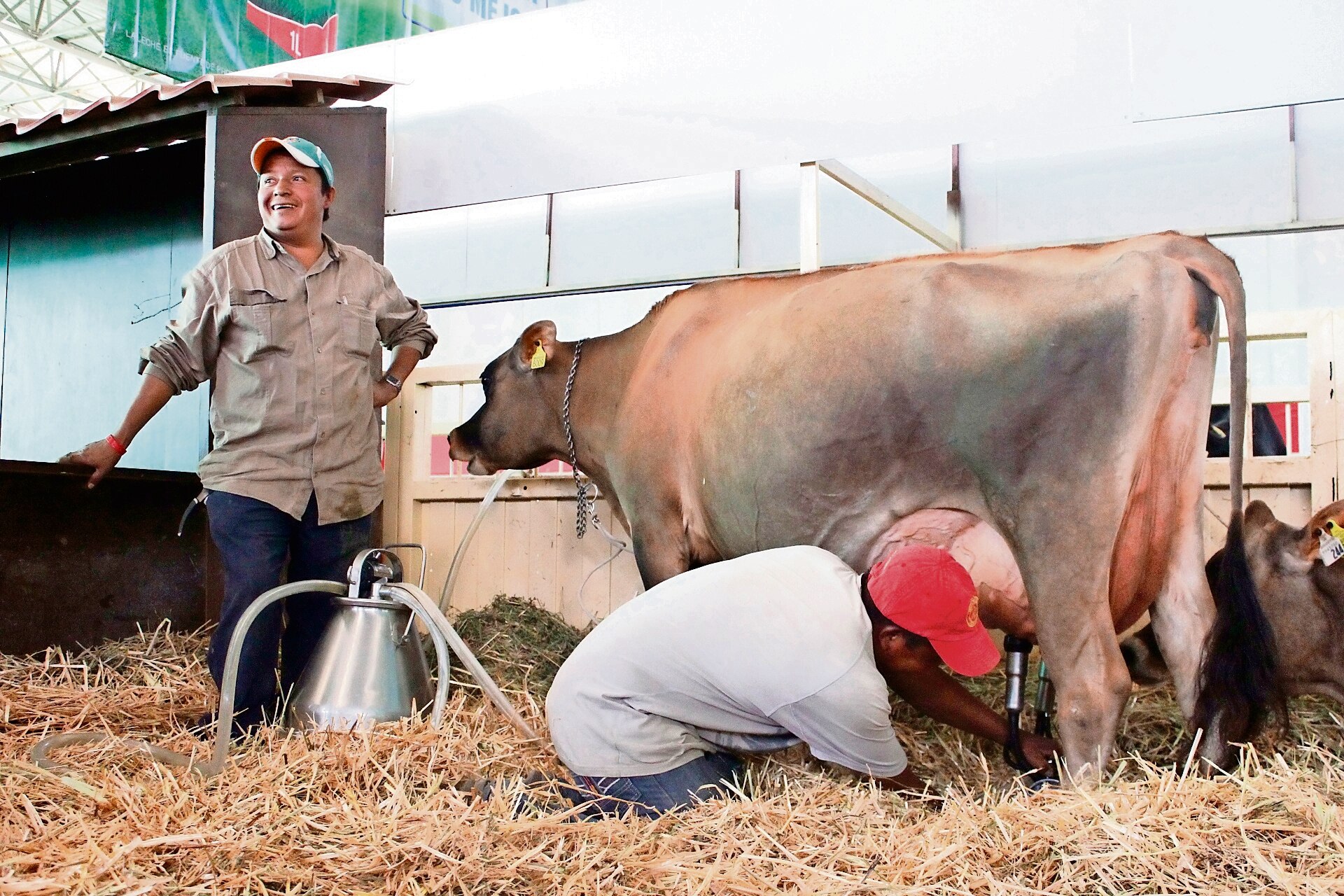 Ganaderos planean recuperar agostaderos