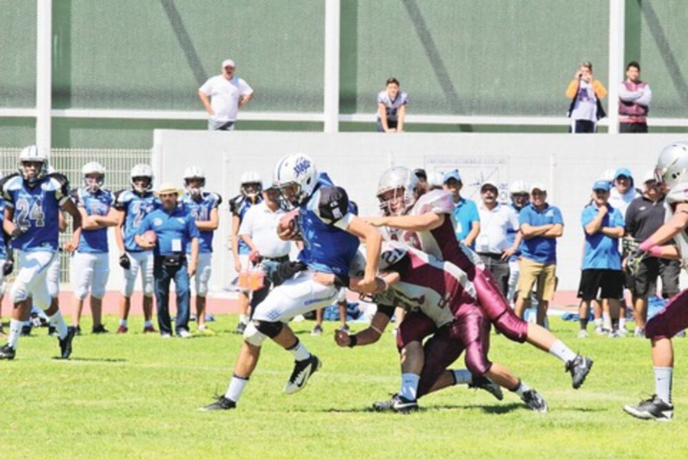 Eliminan a Gatos Salvajes