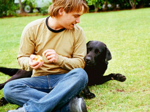 Afectada venta de alimento