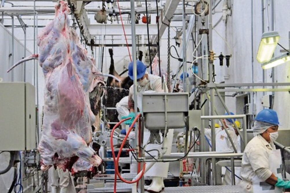 Duplicarán sacrificios en rastro municipal