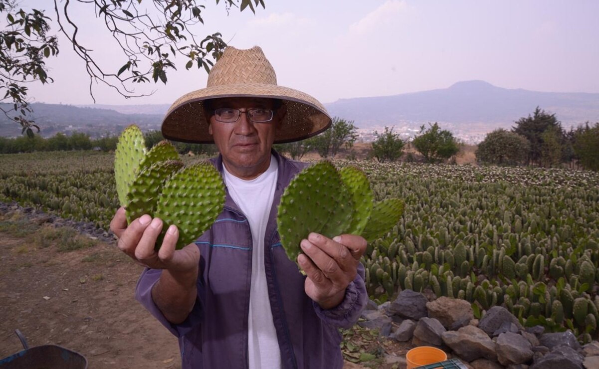 Foto: Gobierno de México.