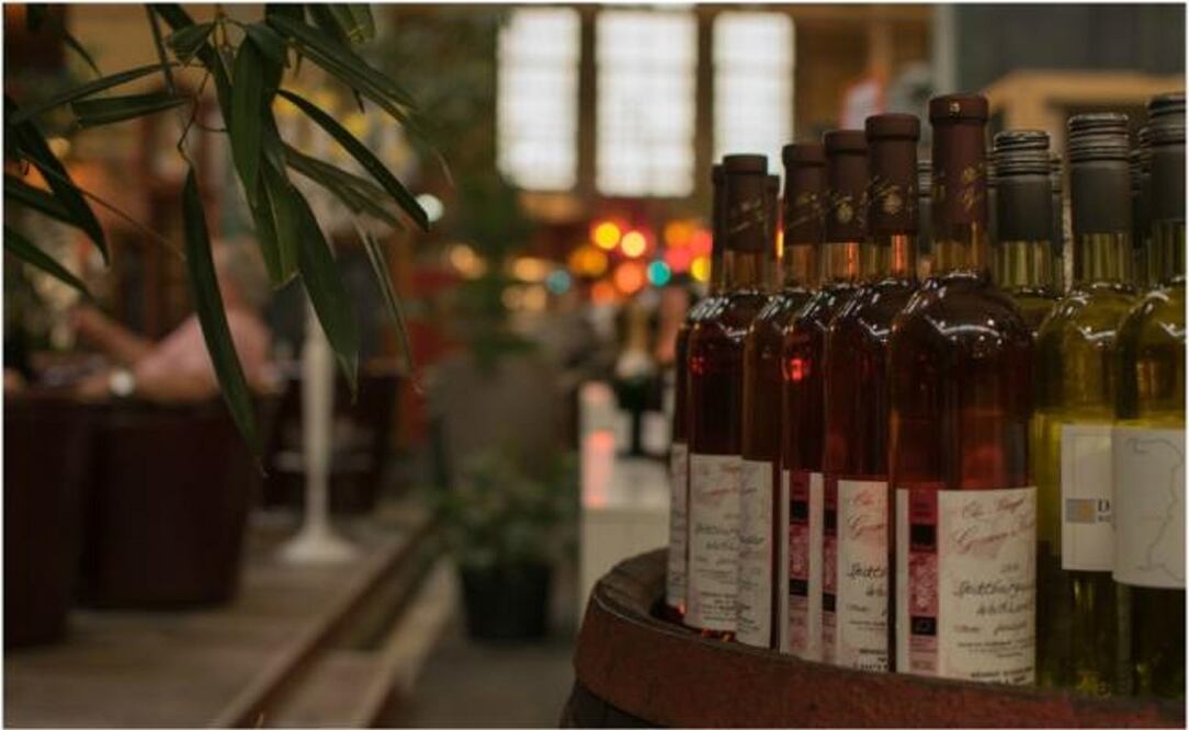 Foto: Pixabay/ Vinos ideales para primavera