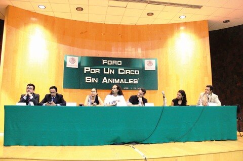 Buscan ley pro animal integral