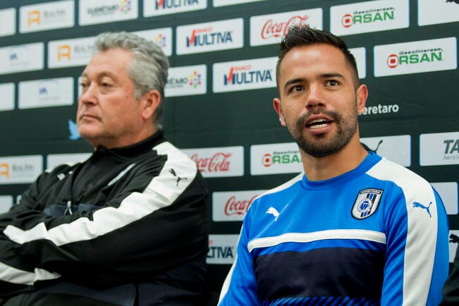 Gallos, barbados contra el cáncer de próstata