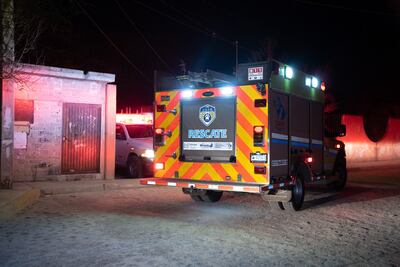Descubren segunda muerte masiva de perros en el municipio de El Marqués
