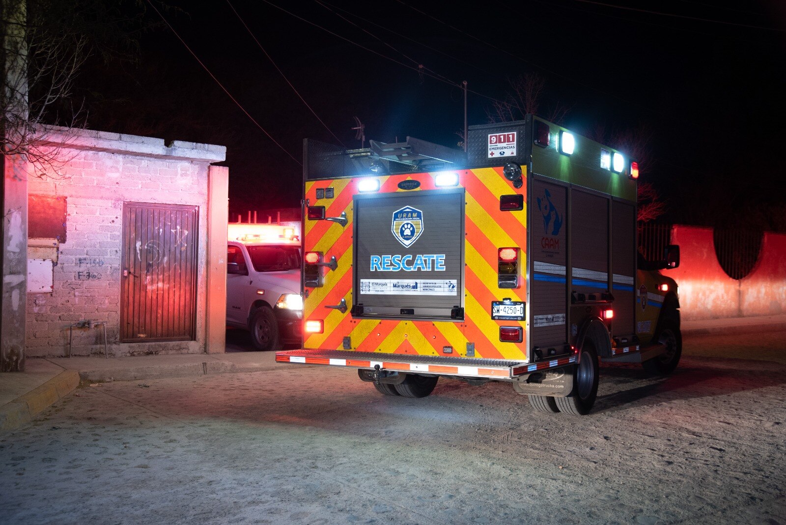 Descubren segunda muerte masiva de perros en el municipio de El Marqués