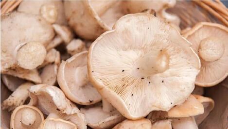 Hongos ayudan a prevenir cáncer de mama