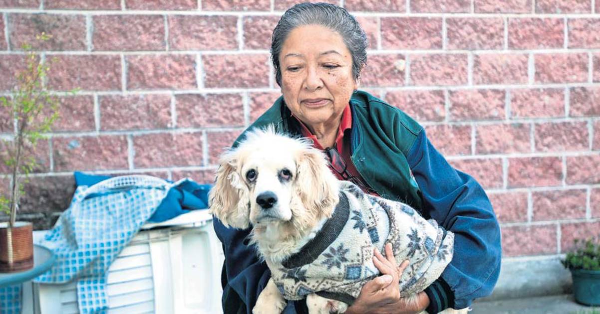Hace poco más de un año falleció la esposa de Inés Acevedo Espinosa, ahora tiene como única compañía a Perla, una cocker spaniel de 12 años de edad (RICARDO LUGO. EL UNIVERSAL)