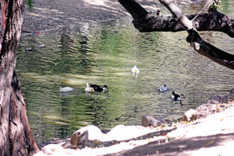Sin recursos aún, para parque La Magdalena