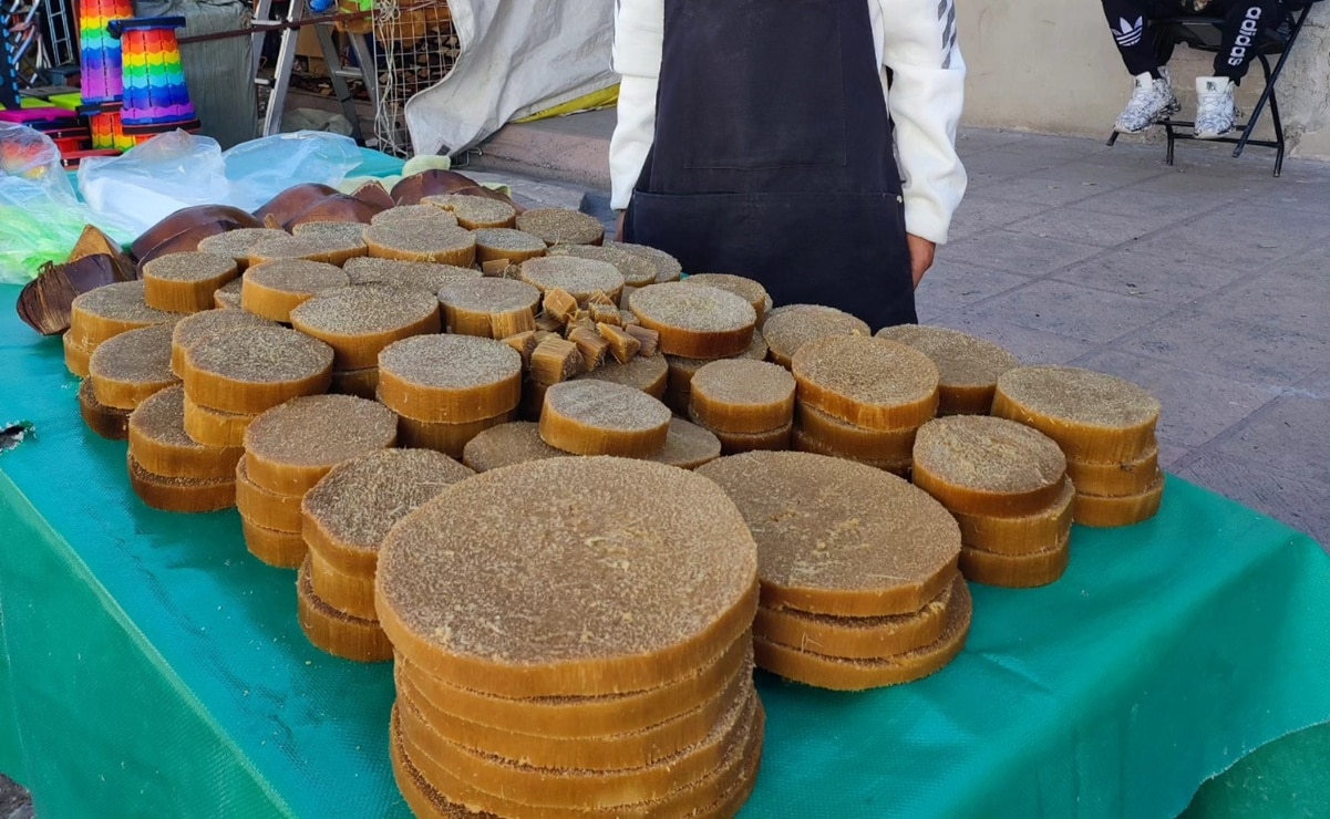 El quiote cocido: tradición, sabor y cultura mexicana. Foto: Proyecto Garambullo. Laboratorio de arte y cultura del semidesierto.
