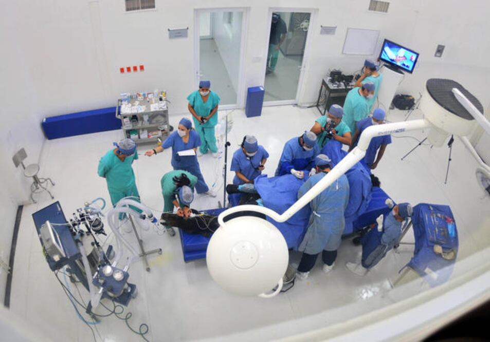 El quirófano móvil funciona con diésel y electricidad y cuenta con dispositivo para anestesia, respirador, mesa hidráulica con soporte para dos toneladas, lavamanos y refrigerador (ESPECIAL)