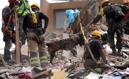 Suman 325 fallecidos por 19-S