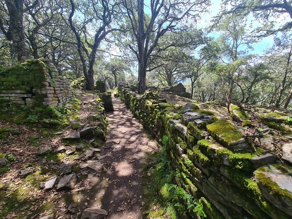 La zona arqueológica de Ranas. Foto: Cortesía