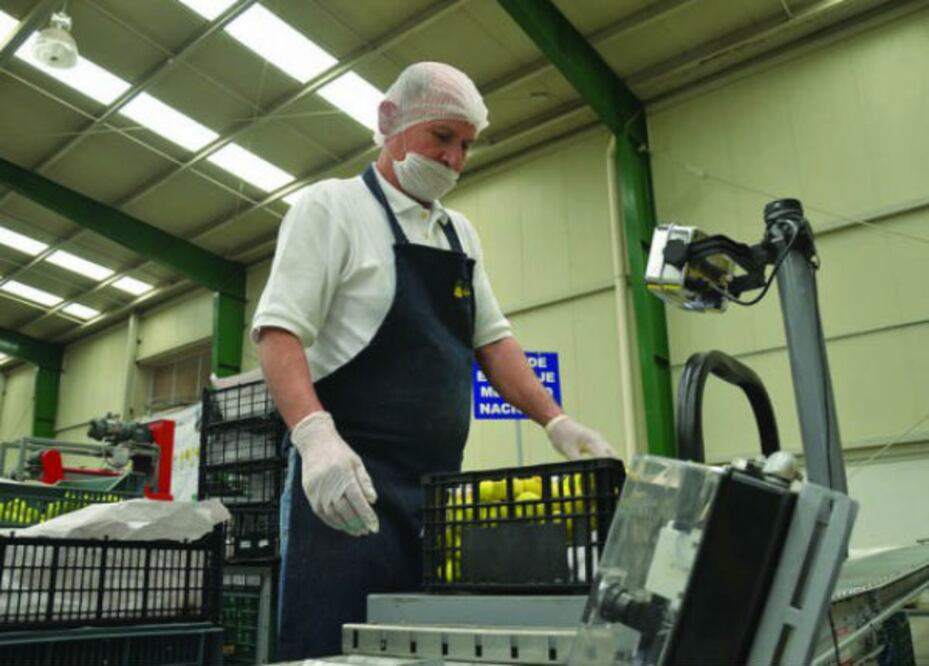 Buscan a firmas comprometidas