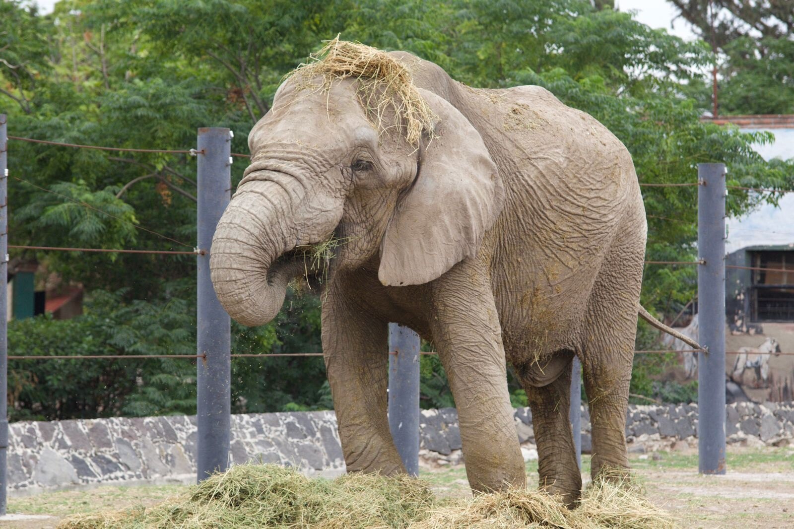 "No maltratamos animales"; responde zoológico Wamerú a denuncias en redes sociales