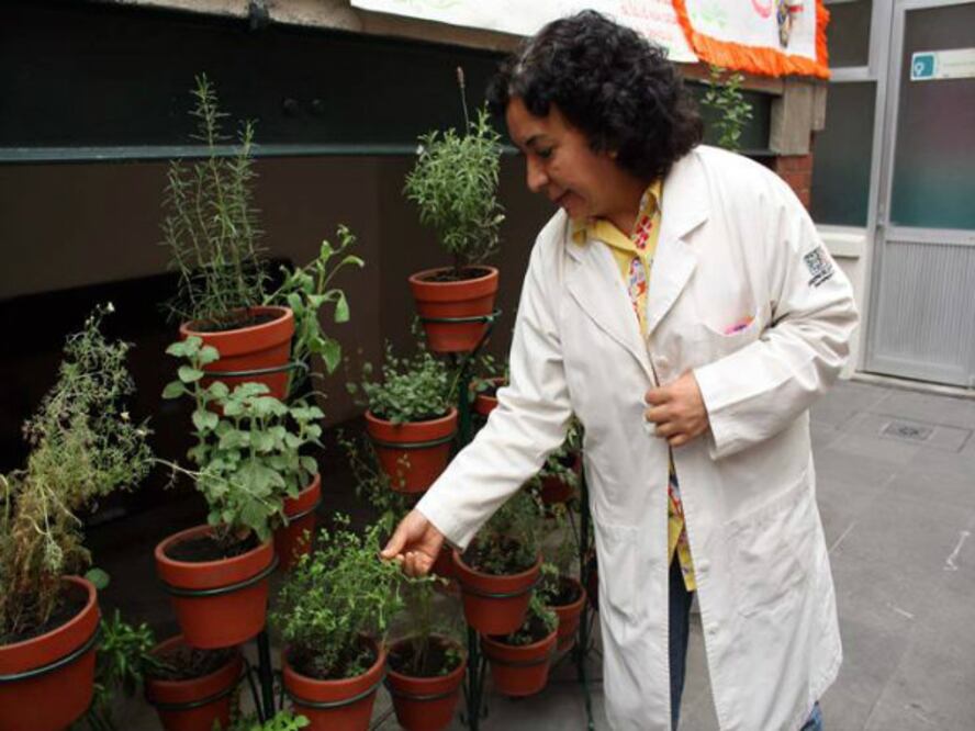 Medicina tradicional: esencial para la salud de los mexicanos