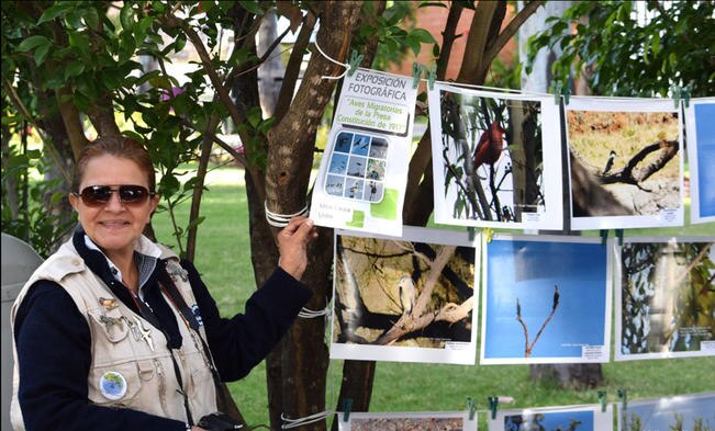 Actualmente, Laura Elvia Uribe Lara realiza investigación de campo en varios estados del país, contribuyendo a la preservación de la naturaleza; su amor por las aves está presente en diversas exposiciones. (ESPECIAL)