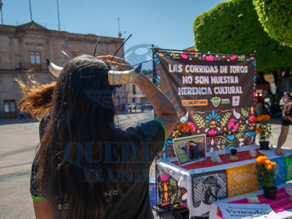 FOTO. FERNANDO CAMACHO