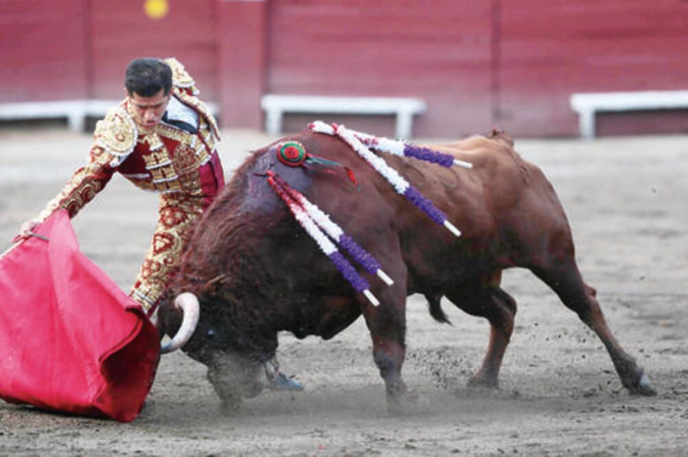 Casta y bravura en los corrales