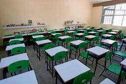 USEBEQ confirma plaga de chinches en primaria